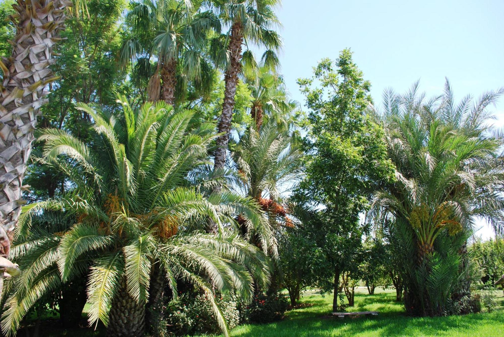 Casa Taos Hotel Douar Azib el goundafi Bagian luar foto